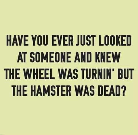 Humour - Have You Ever Just Looked At Someone And Knew The Wheel Was Turnin' But The Hamster Was Dead?