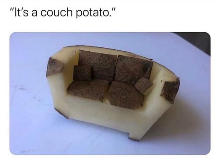 potato made into a couch - "It's a couch potato."