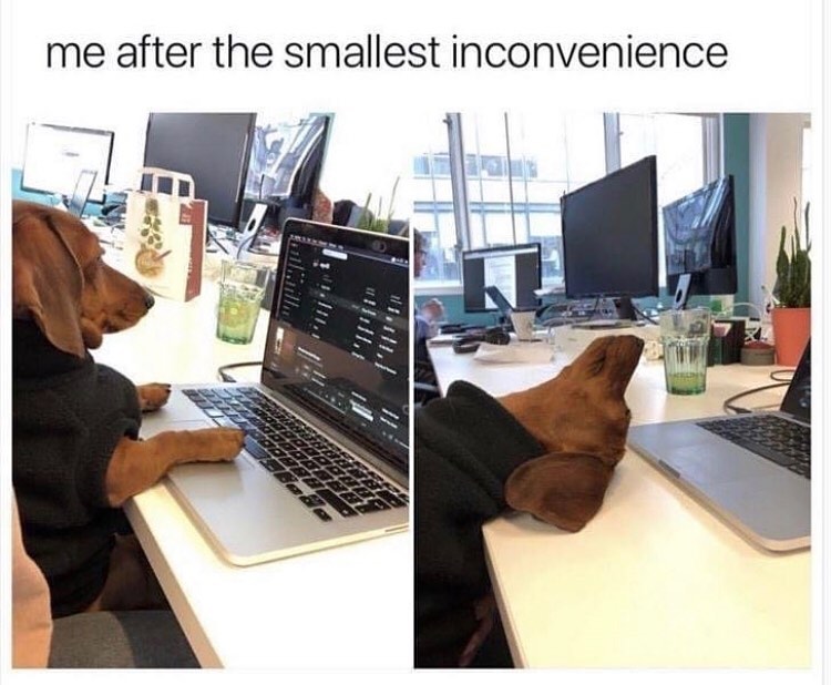 me after the smallest inconvenience meme - me after the smallest inconvenience Hull