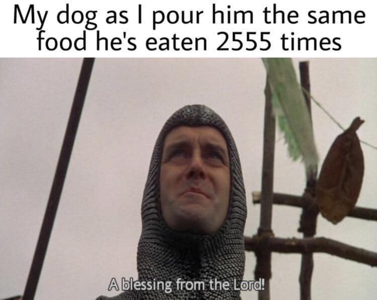 blessing from the lord meme - My dog as I pour him the same food he's eaten 2555 times Ablessing from the Lord!