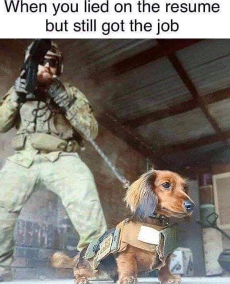 military memes - When you lied on the resume but still got the job