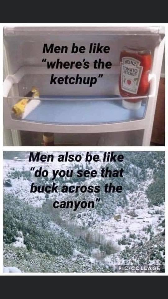 men be like where's the ketchup - Men be like do you see that buck across the canyon