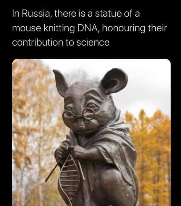 monument of laboratory mouse - In Russia, there is a statue of a mouse knitting Dna, honouring their contribution to science