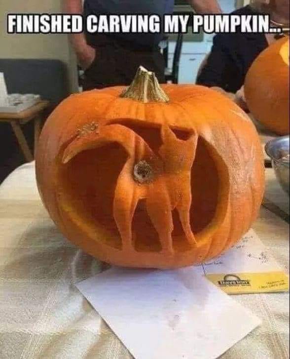 easy pumpkin carving ideas - Finished Carving My Pumpkin...