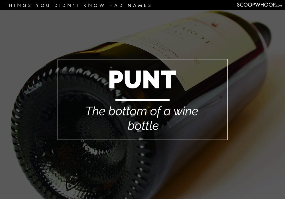 wine bottle bottom - Things You Didn'T Know Had Names Scoopwhoop.Com received Punt The bottom of a wine bottle