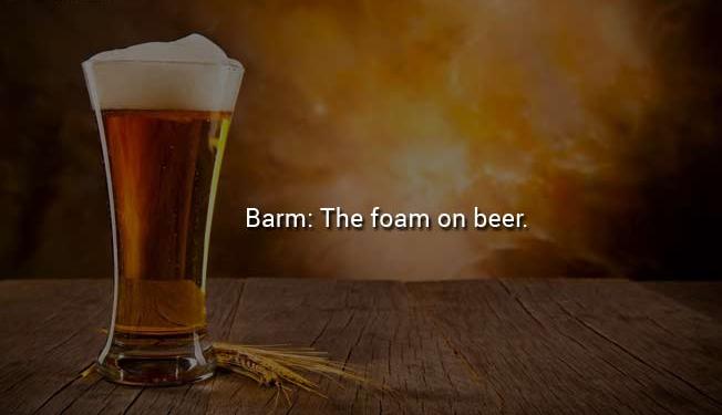 everyday things we don t know the name of - Barm The foam on beer.
