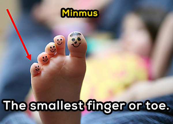 nail - Minmus The smallest finger or toe.