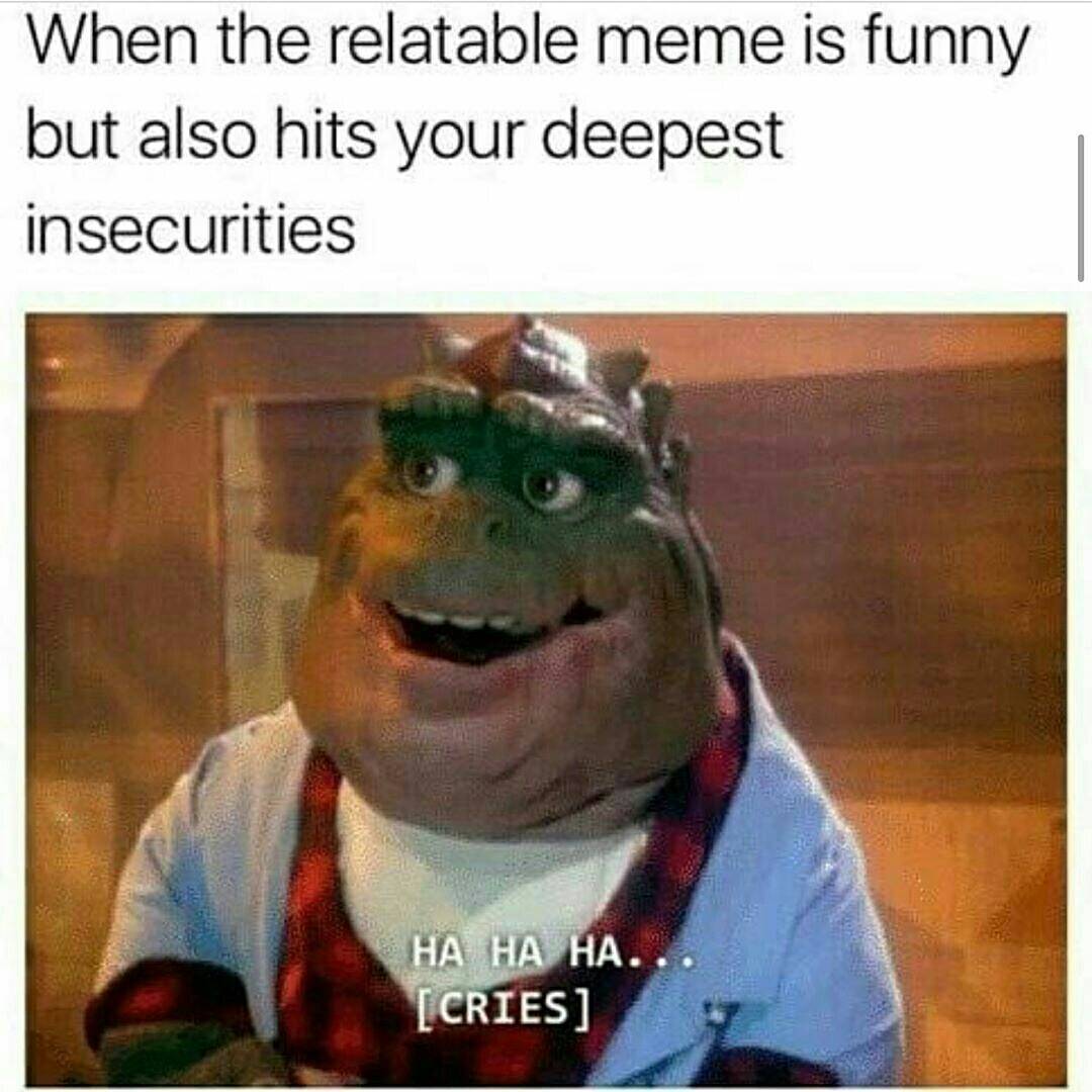 funny meme - When the relatable meme is funny but also hits your deepest insecurities Ha Ha Ha... Cries