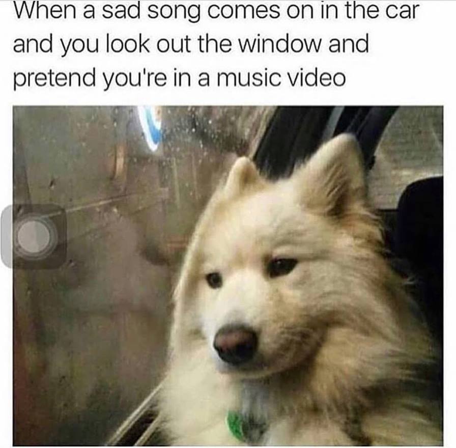 funny meme - When a sad song comes on in the car and you look out the window and pretend you're in a music video