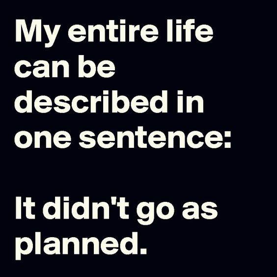 funny meme - My entire life can be described in one sentence It didn't go as planned.