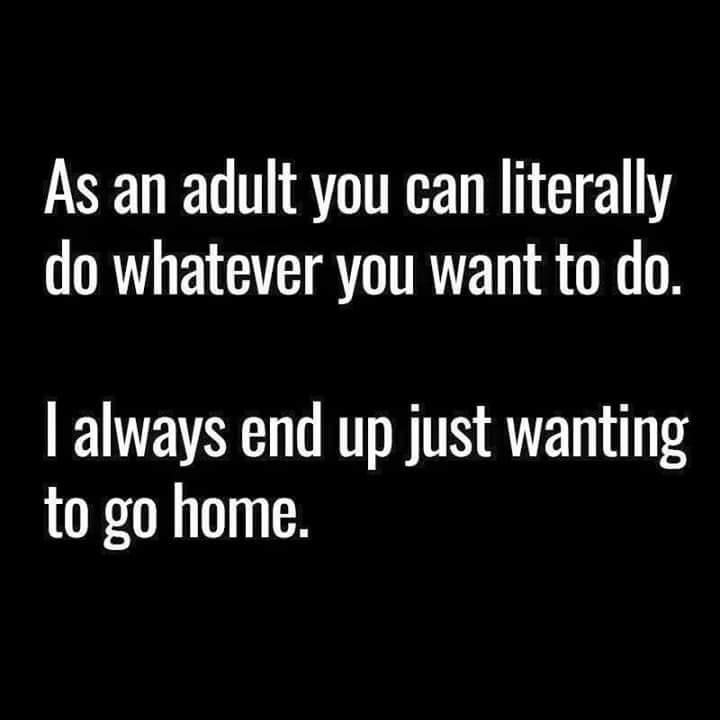 funny meme - As an adult you can literally do whatever you want to do. I always end up just wanting to go home.