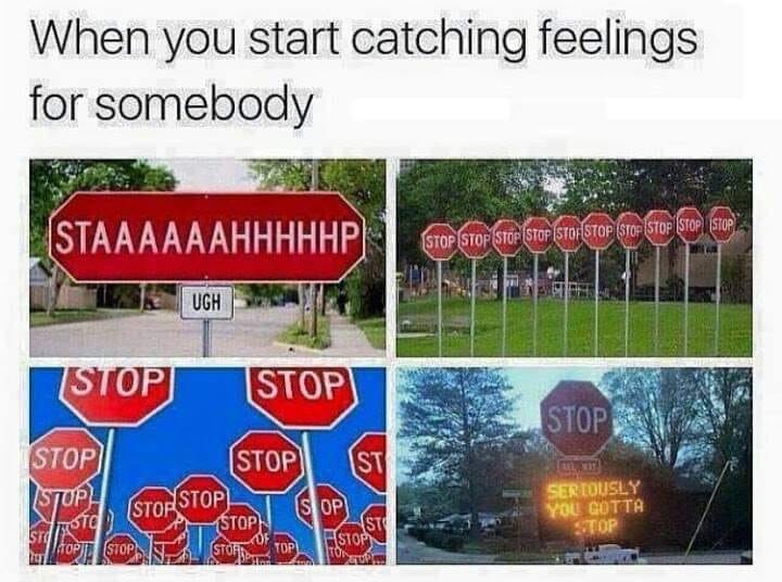 memes about catching feelings - When you start catching feelings for somebody Staaaaaahhhhhp Stop Stop Stop Stop Stof Stop Stop Stop Stop Stop Ugh Stop |Stop Stop Stop St Stop Istup Stop Stop Seriously You Gotta Stop S Op Sto Stop Stop Store srd Top Stop 