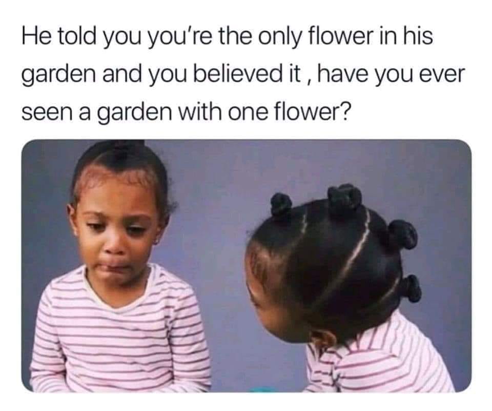 he promised you the world meme - He told you you're the only flower in his garden and you believed it, have you ever seen a garden with one flower?