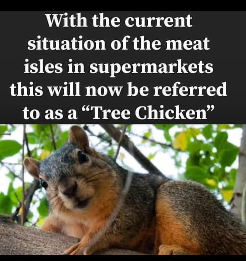 animals omnivores - With the current situation of the meat isles in supermarkets this will now be referred to as a Tree Chicken"