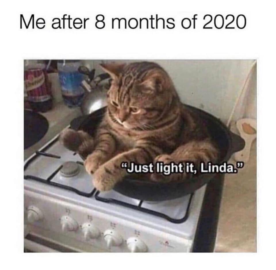 just light it linda meme - Me after 8 months of 2020 "Just light it, Linda.