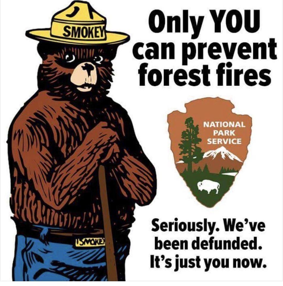 only you can prevent forest fires meme - Smokey Vine Only You can prevent forest fires National Park Service make more Usmoke Seriously. We've been defunded. It's just you now.