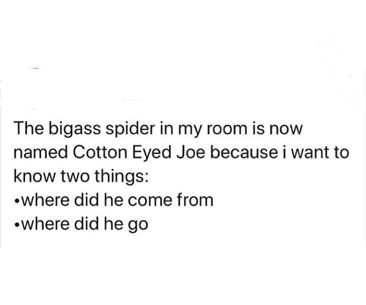 paper towns quotes cover - The bigass spider in my room is now named Cotton Eyed Joe because i want to know two things where did he come from where did he go