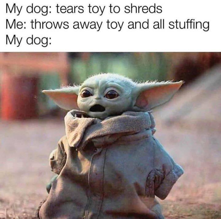 baby yoda memes - My dog tears toy to shreds Me throws away toy and all stuffing My dog