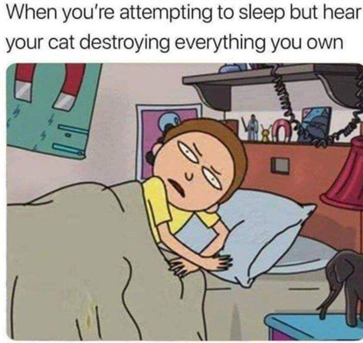morty meme - When you're attempting to sleep but hear your cat destroying everything you own