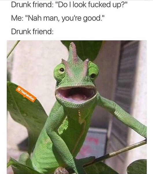 chameleon funny - Drunk friend "Do I look fucked up?" Me "Nah man, you're good." Drunk friend This unGuy