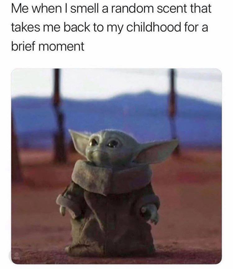 cutest baby yoda memes - Me when I smell a random scent that takes me back to my childhood for a brief moment