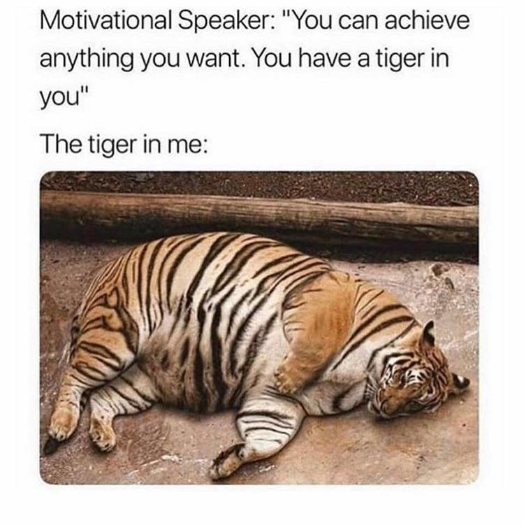 tiger in me meme - Motivational Speaker "You can achieve anything you want. You have a tiger in you" The tiger in me