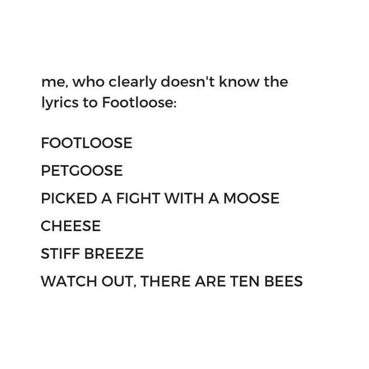 document - me, who clearly doesn't know the lyrics to Footloose Footloose Petgoose Picked A Fight With A Moose Cheese Stiff Breeze Watch Out, There Are Ten Bees