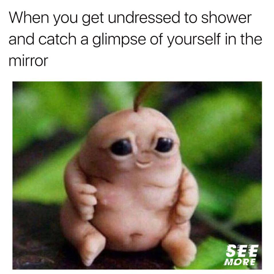 romper memes - When you get undressed to shower and catch a glimpse of yourself in the mirror See More