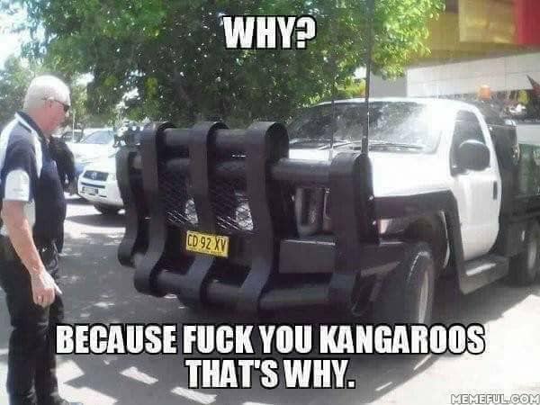 tire - Why? Cd 92 Xy Because Fuck You Kangaroos That'S Why. Memeful.Com