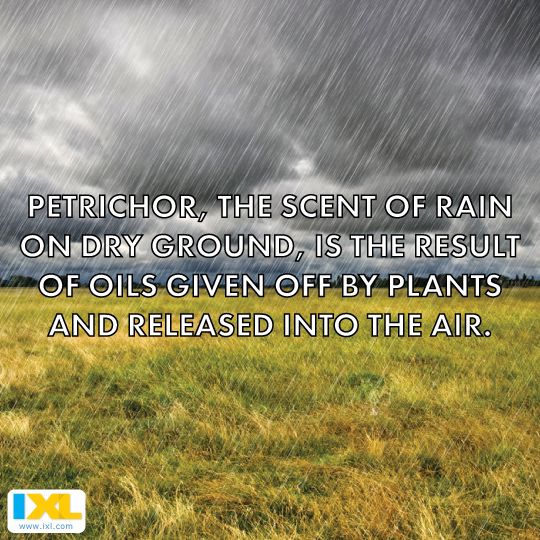 Petrichor, The Scent Of Rain On Dry Ground, Is The Result Of Oils Given Off By Plants And Released Into The Air. Ix
