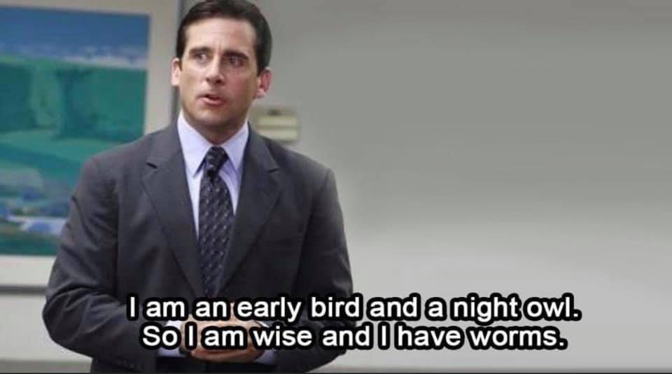 michael scott quotes - I am an early bird and a night owl. Solam wise and I have worms.