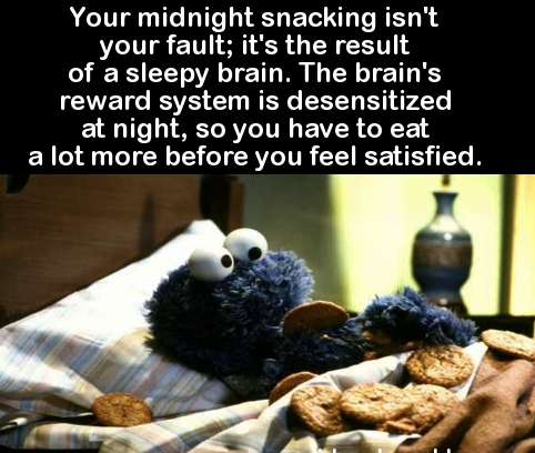 delete cookies cookie monster - Your midnight snacking isn't your fault; it's the result of a sleepy brain. The brain's reward system is desensitized at night, so you have to eat a lot more before you feel satisfied.