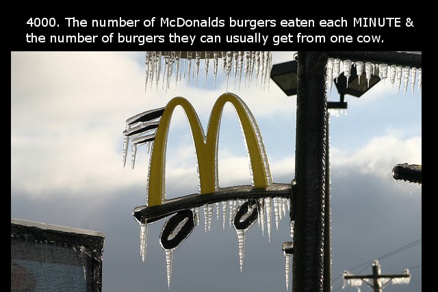 sky - 4000. The number of McDonalds burgers eaten each Minute & the number of burgers they can usually get from one cow. Mba 010 Fe