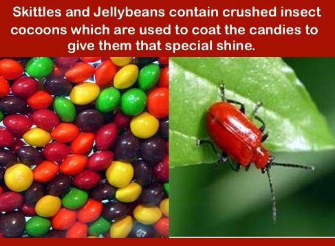 gross facts - Skittles and Jellybeans contain crushed insect cocoons which are used to coat the candies to give them that special shine.