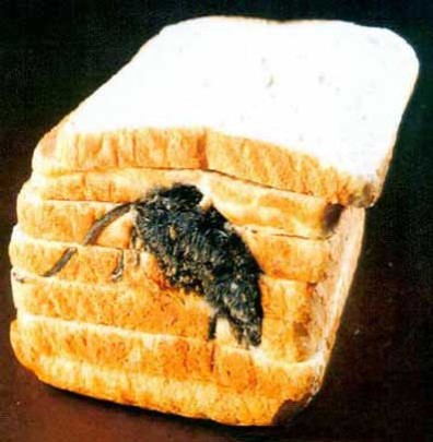 mouse in bread