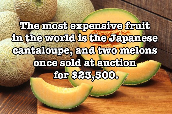 food facts funny - The most expensive fruit in the world is the Japanese cantaloupe, and two melons once sold at auction for $23,500.