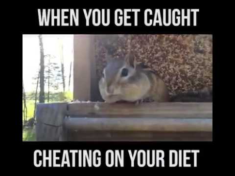 you cheat on your diet - When You Get Caught Cheating On Your Diet