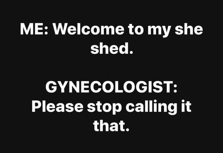 me welcome to my she shed - Me Welcome to my she shed. Gynecologist Please stop calling it that.