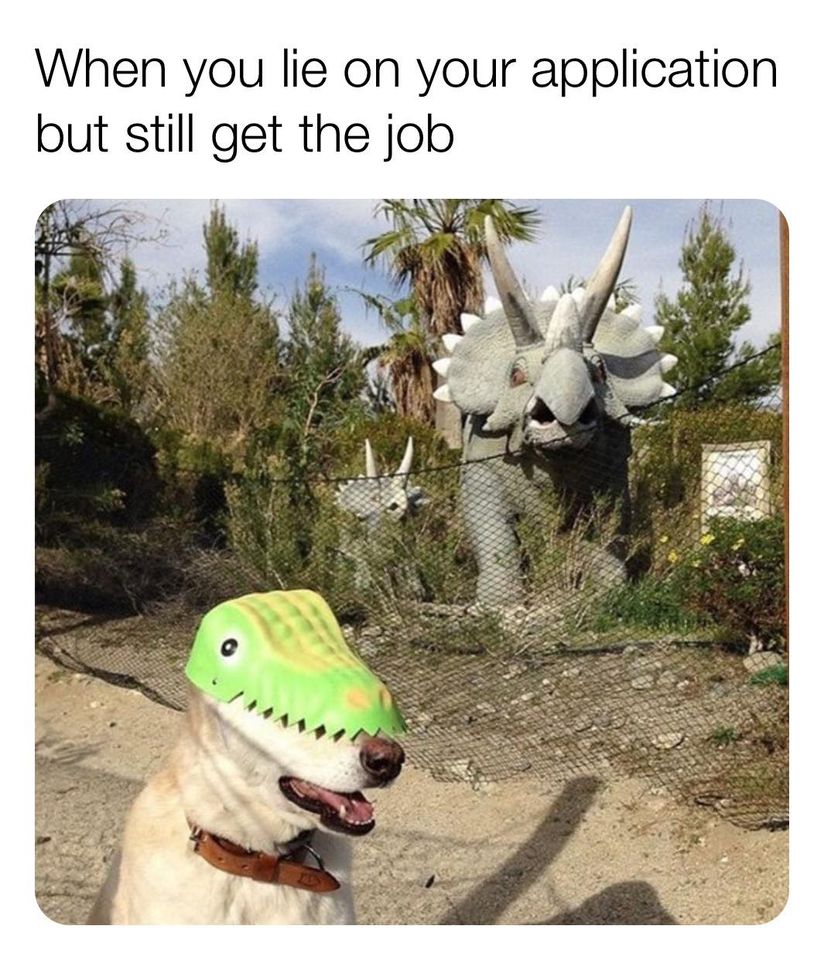 you lie on your application but get - When you lie on your application but still get the job