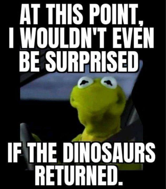 extremely funny funny stuff - At This Point. I Wouldn'T Even Be Surprised If The Dinosaurs Returned.