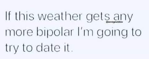 angle - svogowidow If this weather gets any more bipolar I'm going to try to date it.