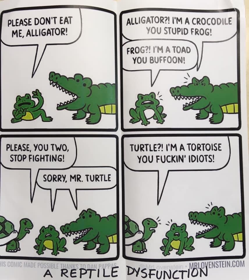 dark sense of humor comics - Alligator?! I'M A Crocodile You Stupid Frog! Frog?! I'M A Toad You Buffoon! A Reptile Dysfunction Please Don'T Eat Me, Alligator! Please, You Two, Stop Fighting! Sorry, Mr. Turtle His Comic Made Possible Thanks To Dan Papp Tur
