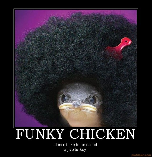 beak - Funky Chicken doesn't to be called a jive turkey! motifake.com