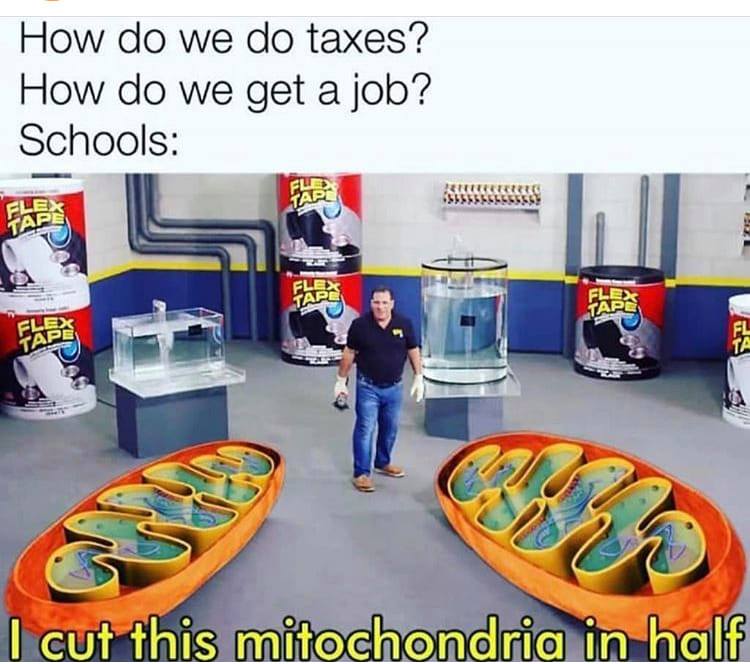bnha recovery girl memes - How do we do taxes? How do we get a job? Schools Fle Tar Fles Tar Flex Tapl Fless Tape Flex Fl Tape Ta 12 I cut this mitochondria in half