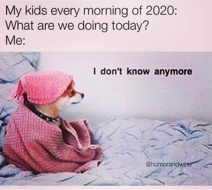 dont know anymore meme - My kids every morning of 2020 What are we doing today? Me I don't know anymore