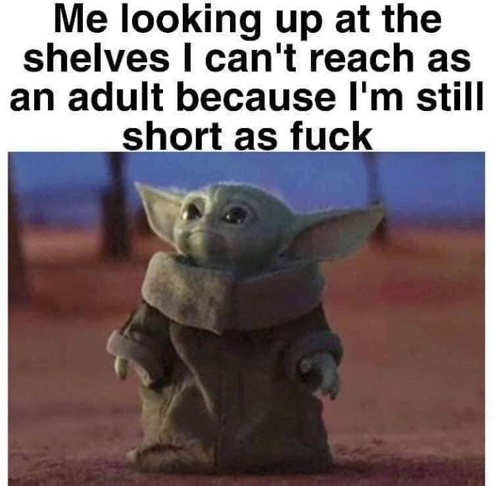 baby yoda short memes - Me looking up at the shelves I can't reach as an adult because I'm still short as fuck