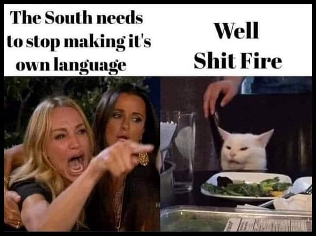 no more books meme - The South needs to stop making it's own language Well Shit Fire