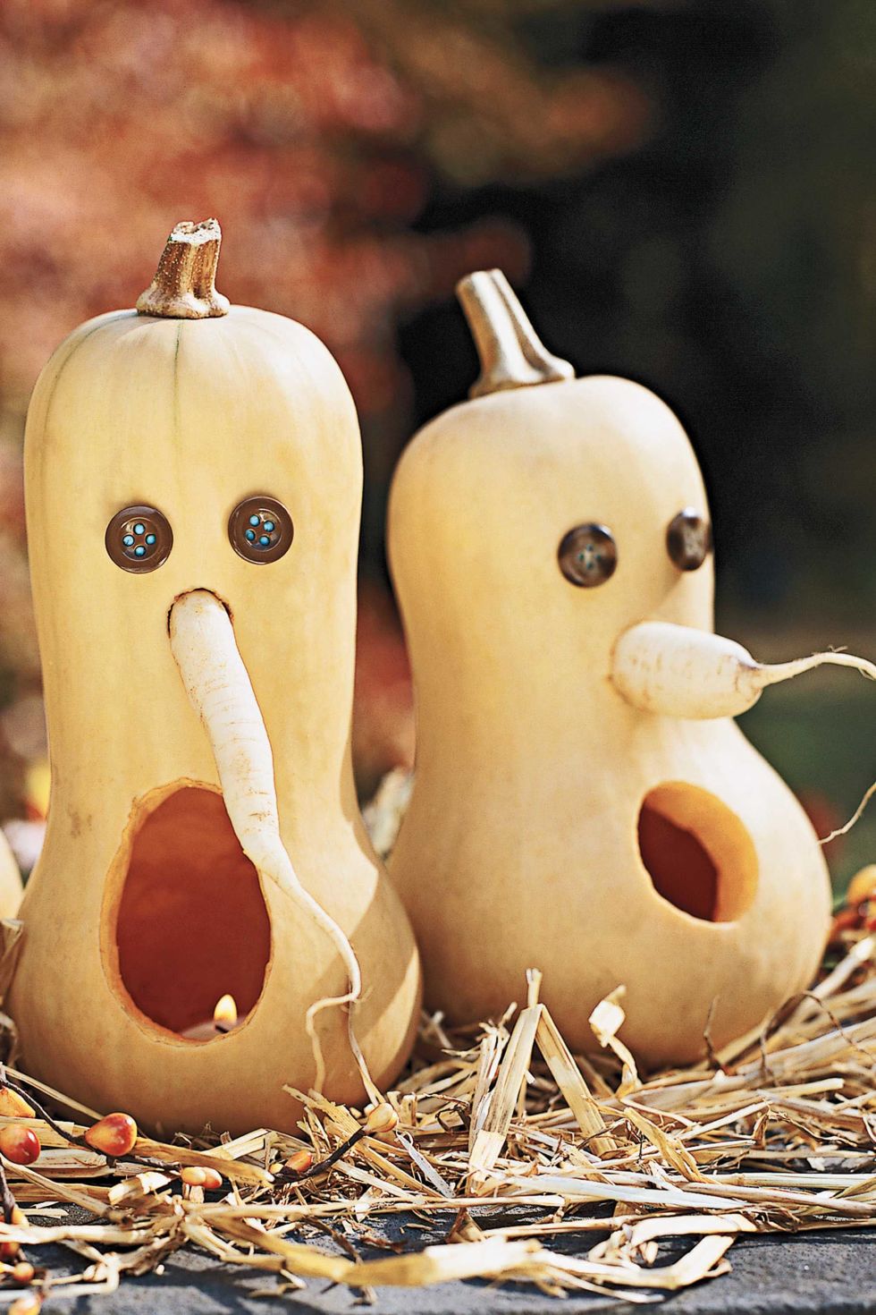 halloween pumpkin carving - surprised gourds