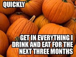 pumpkin spice everything funny - Quickly Get In Everything I Drink And Eat For The Next Three Months