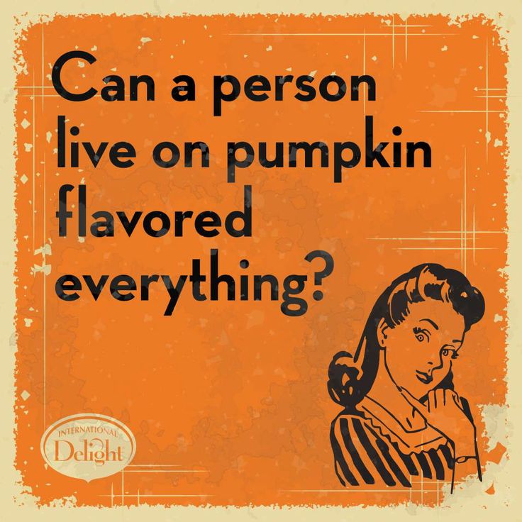 it's pumpkin spice everything season - Can a person live on pumpkin flavored everything? International Delight